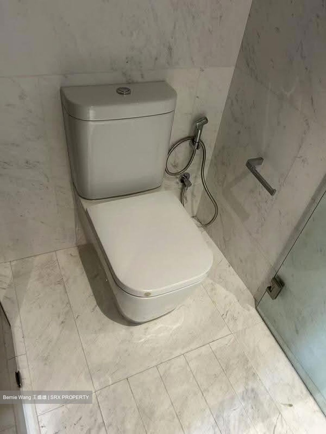 Robin Residences (D10), Condominium #611727061